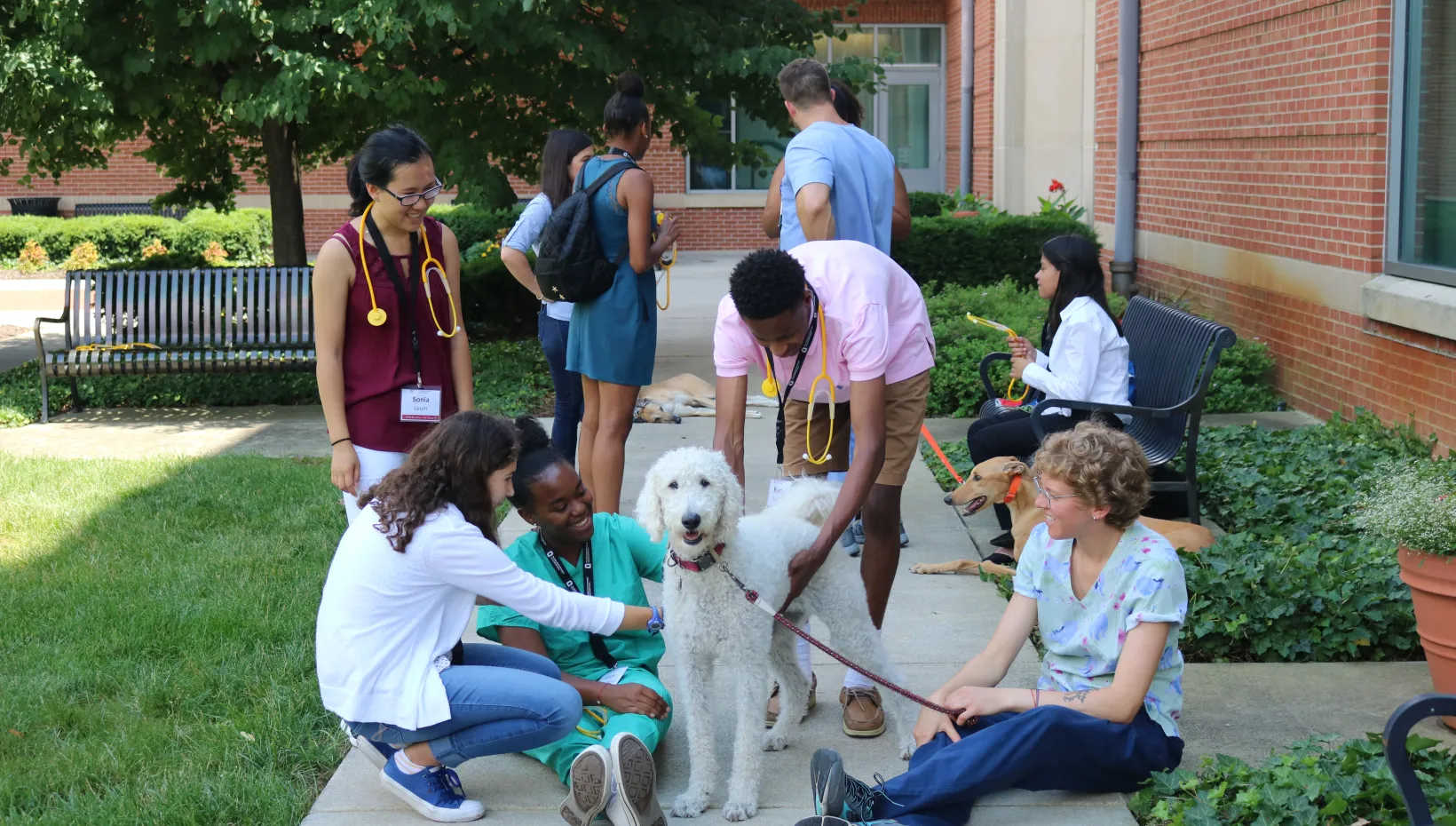 students sitting with dog outside of the veterinary medicine academic building 