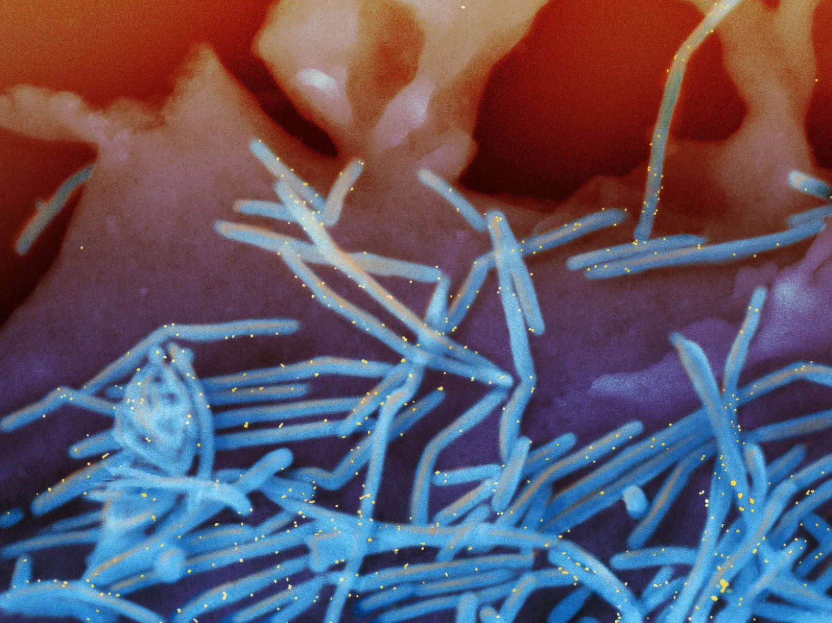 A graphic of microbiological life