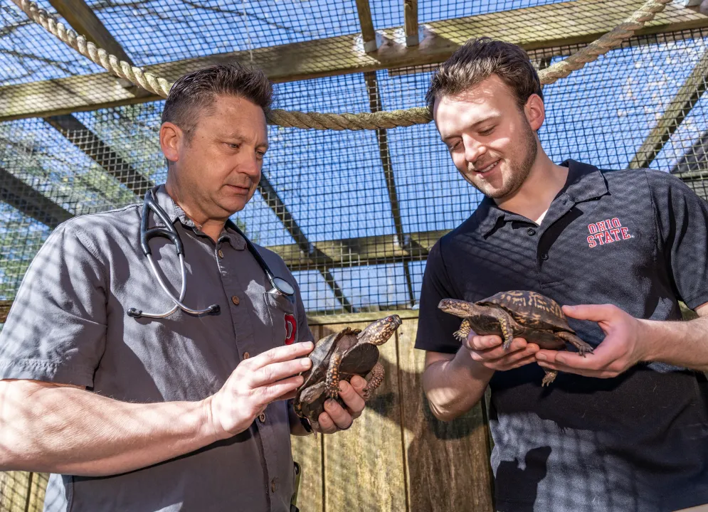 Two male veterinarians holding turtles