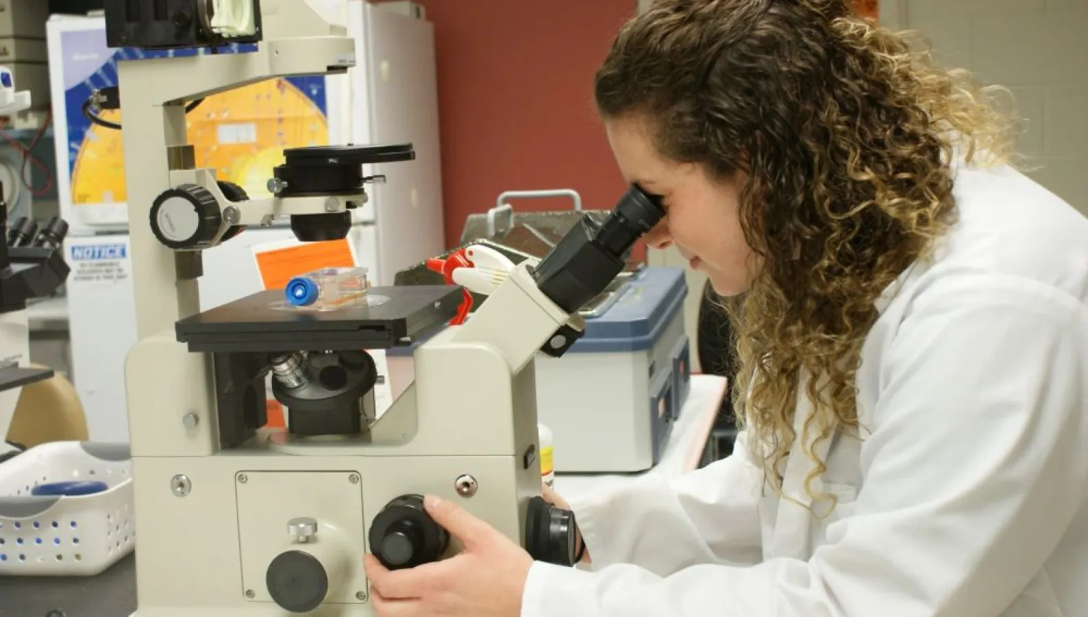 female veterinary student at a microscope doing research 