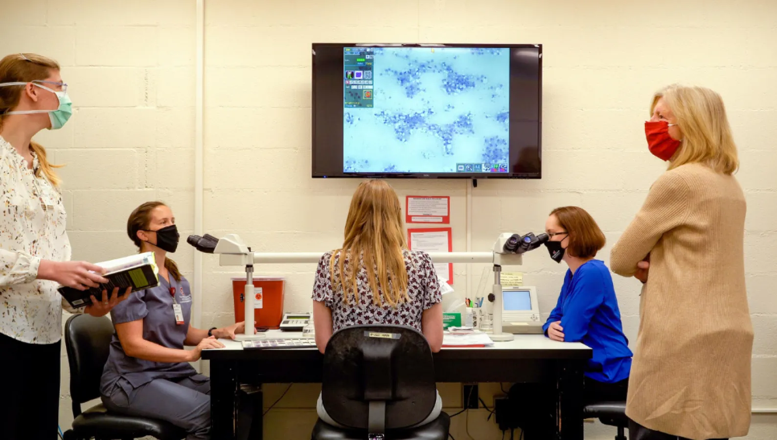 group of people at microscopes with screen doing research
