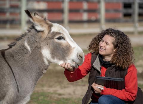 female student with donkey