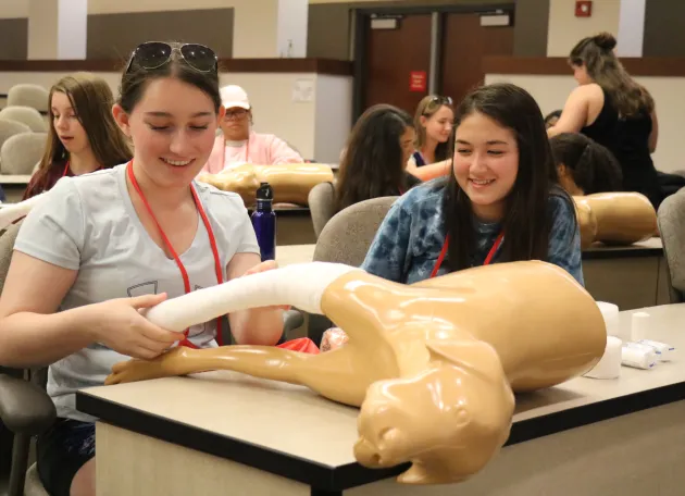 Students examining educational dummy dogs