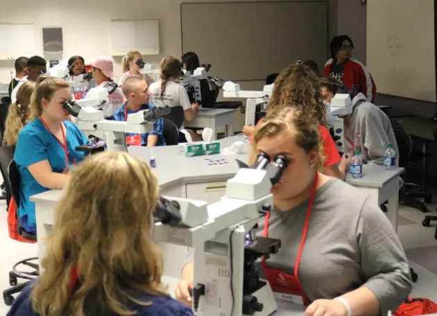Buckeye Vet Camp 2019 students looking in microscopes in a lab