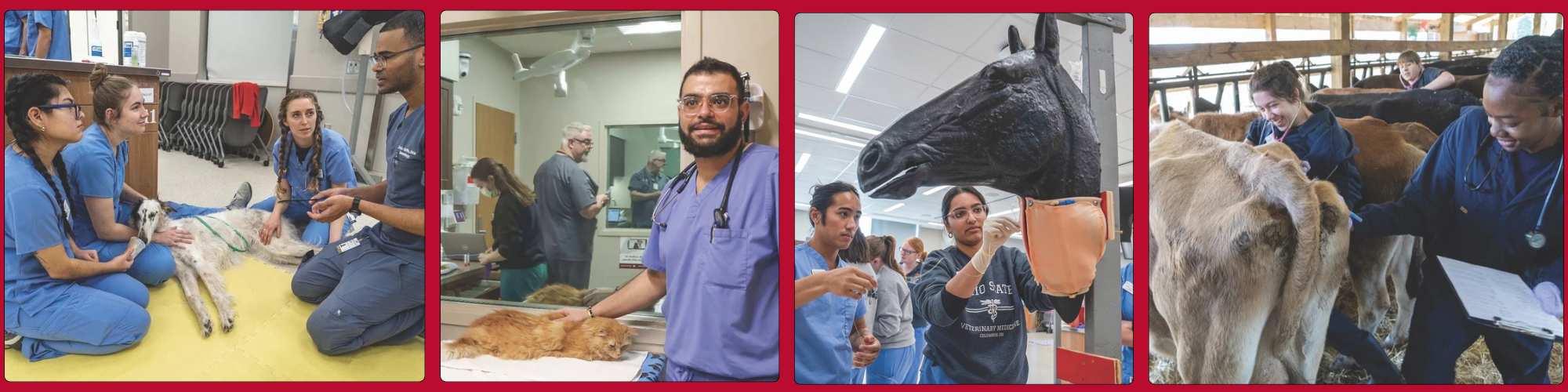 Photo collage of students