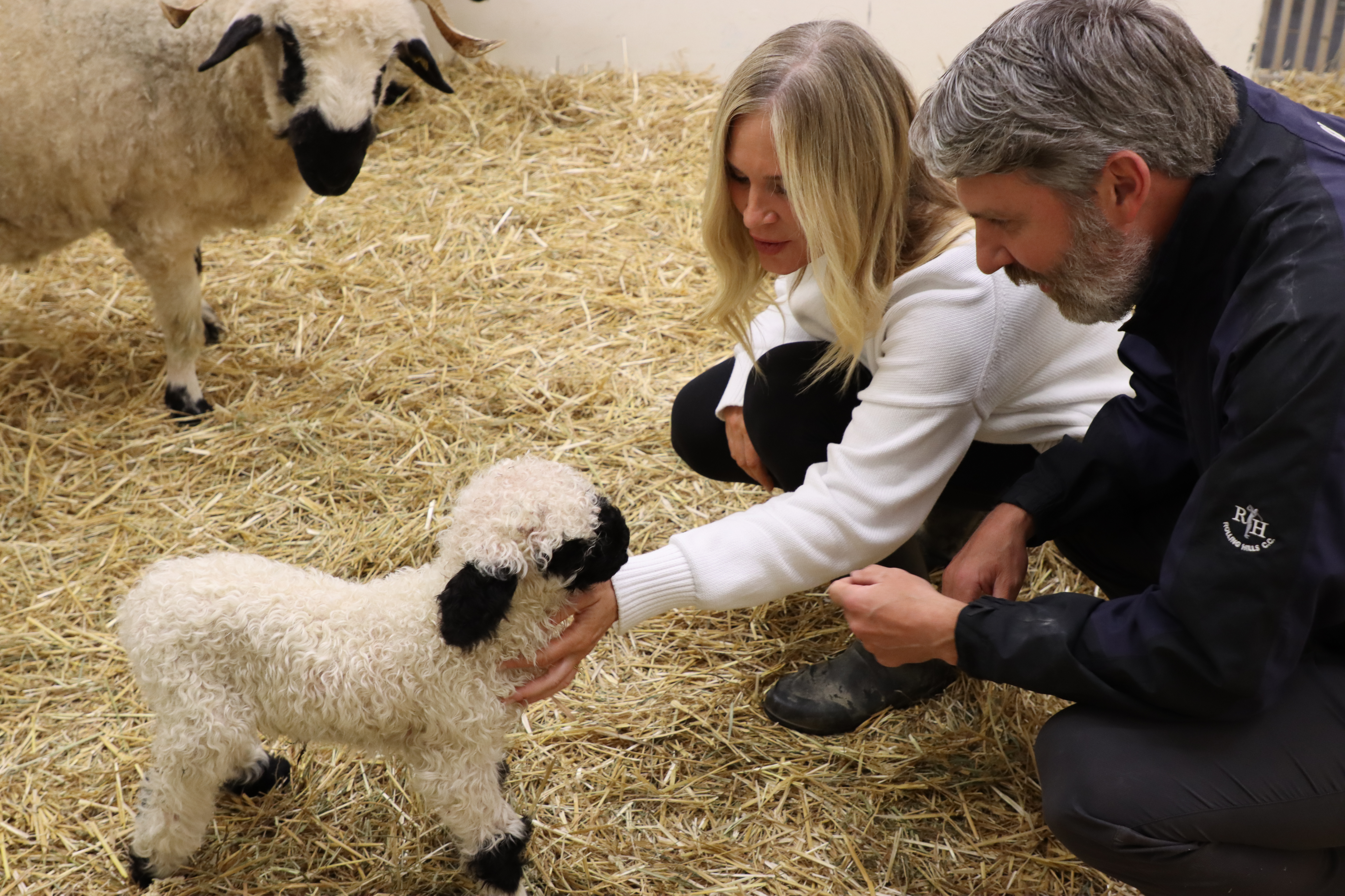 The Whiteheads with their newborn lamb at the Veterinary Medical Center.