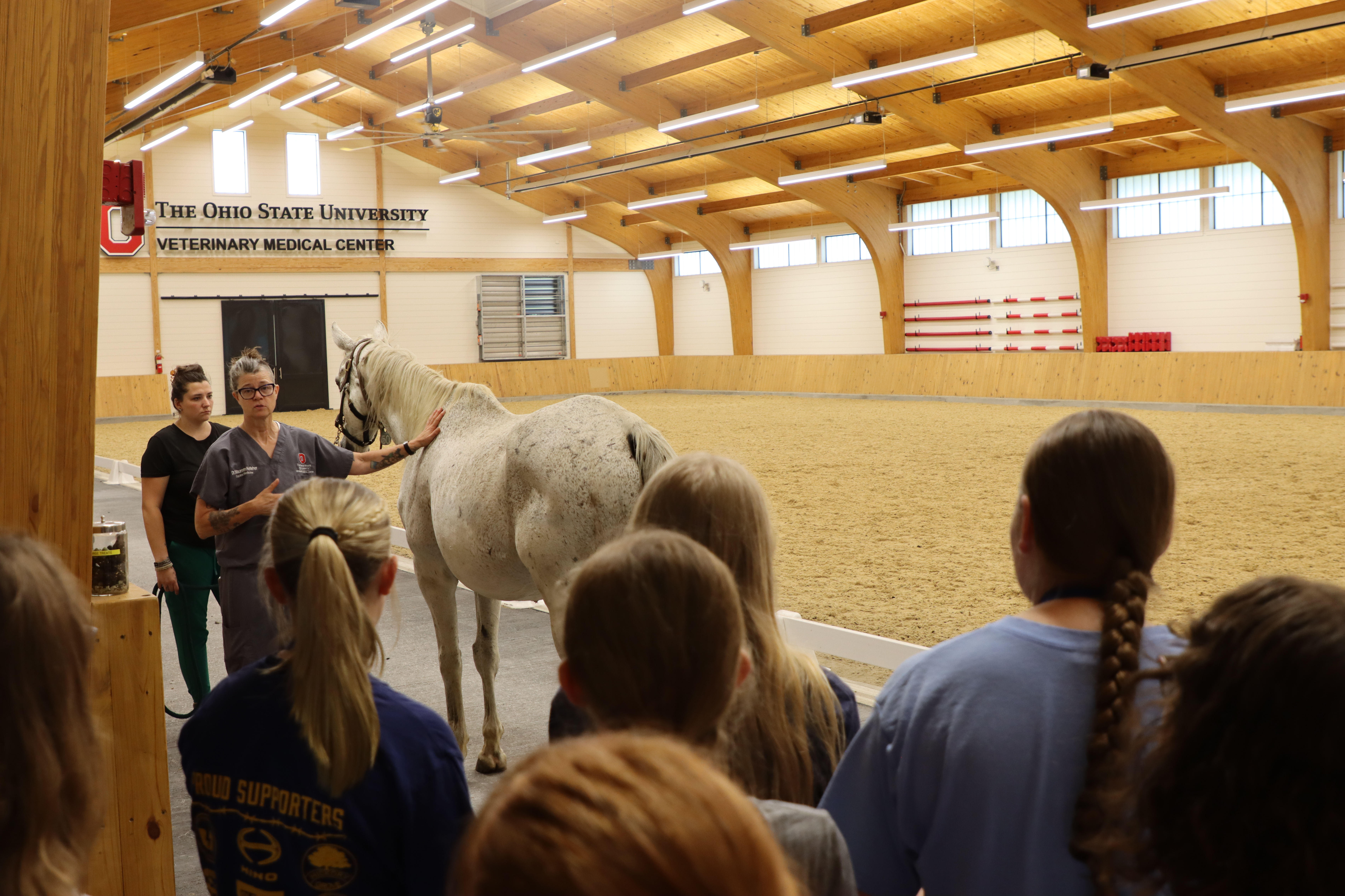 Student observe an equine medicine demonstration