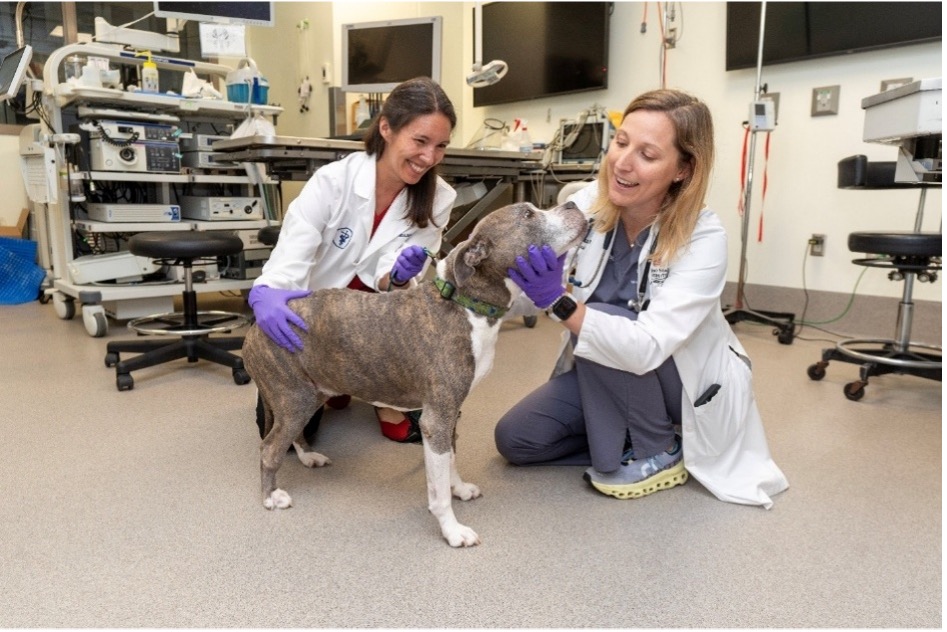 Two students in the lab with a dog