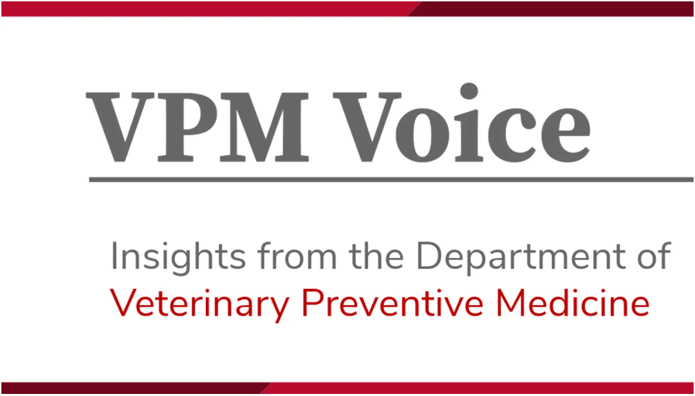 Graphic for VPM Voice Newsletter detailing Insights from the Department of Veterinary Preventive Medicine