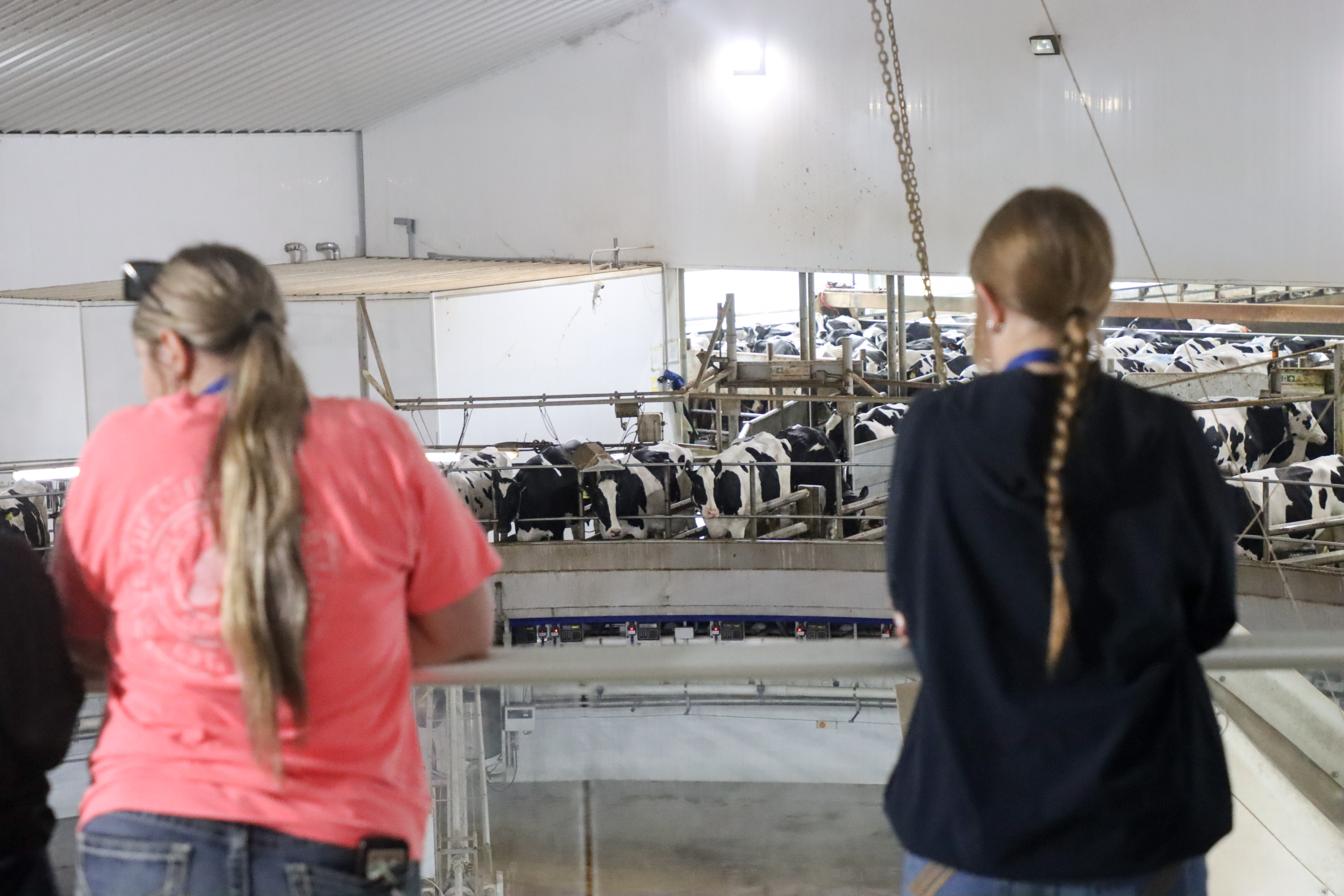 Students stand above the milking carousel