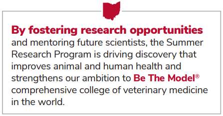 Text box that says "By fostering research opportunities and mentoring future scientists, the Summer Research Program is driving discovery that improves animal and human health and strengthens our ambition to Be The Model comprehensive college of veterinary medicine in the world."
