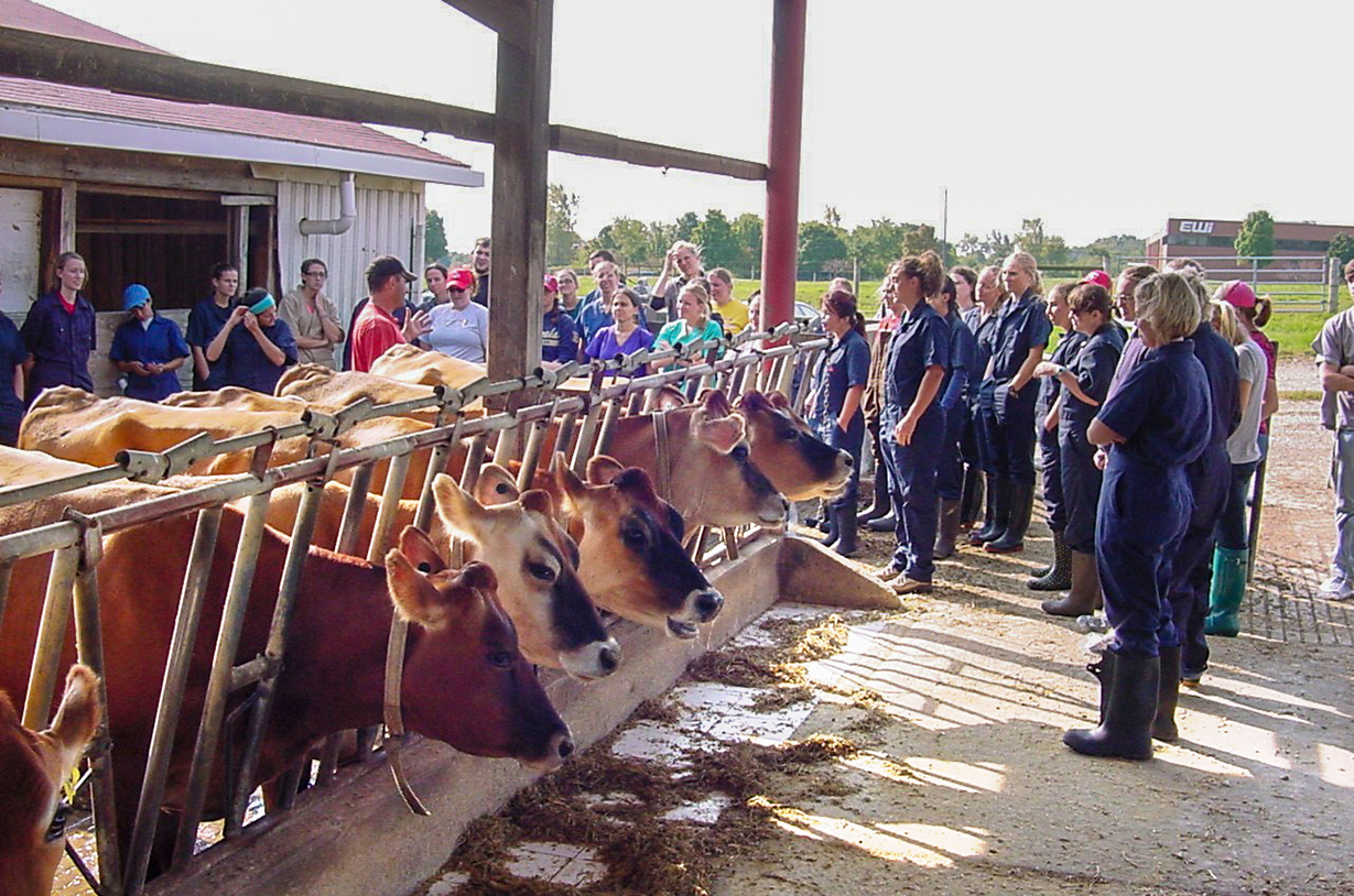 Veterinary Public Health Club students at a wet lab with cows
