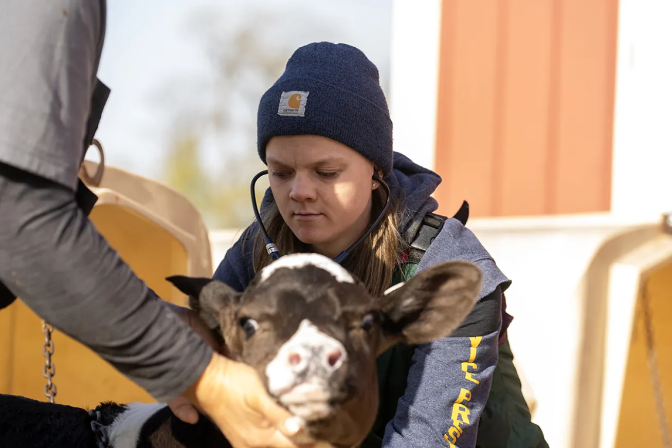 Brooke Bockey with cow at Four Henry Dairy
