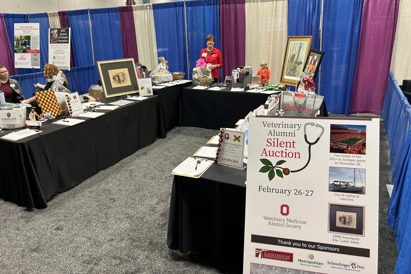 Midwest Vet Conference Silent Auction Table