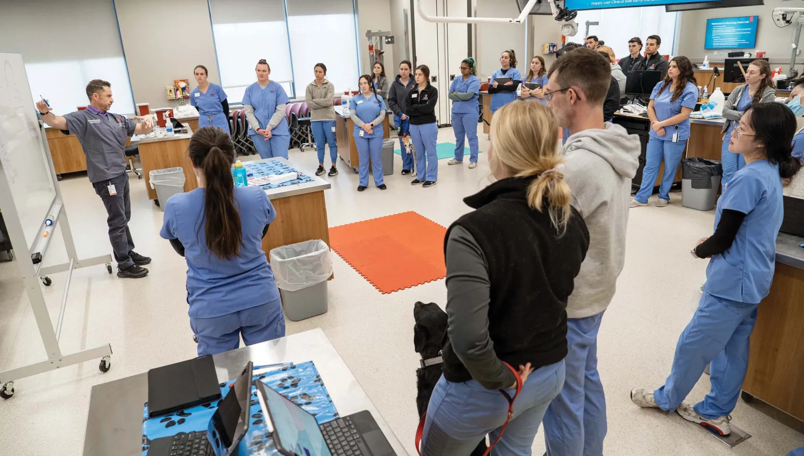 Ohio State’s hands-on curriculum prepares veterinarians for modern practice from day one