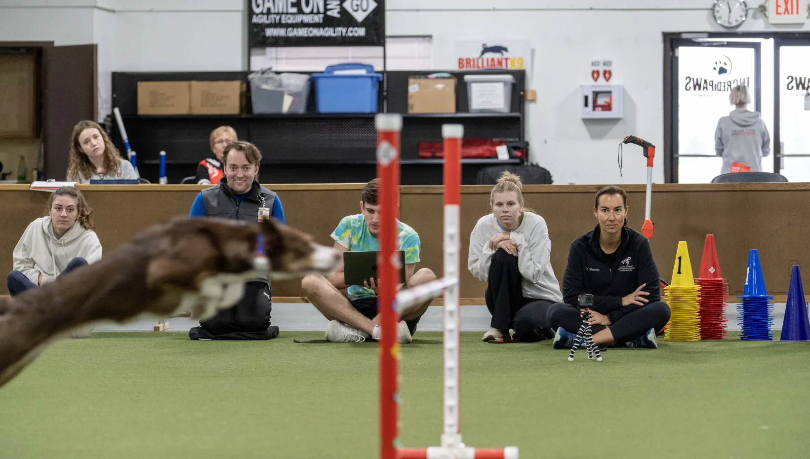 People watching a dog jump over a bar at an agility competition