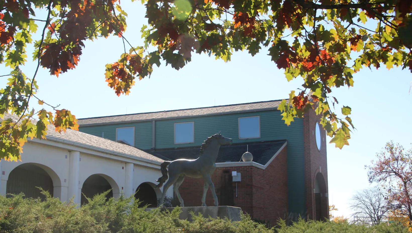 A view of the college through the leaves of a tree