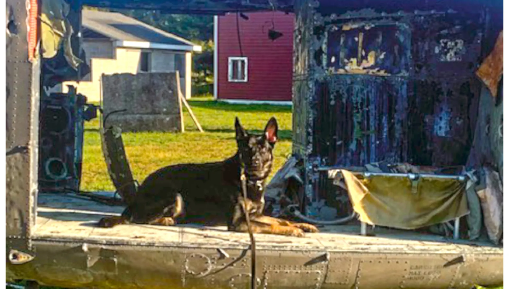 Rambo hard at work during training with the Logan County Police Department. 