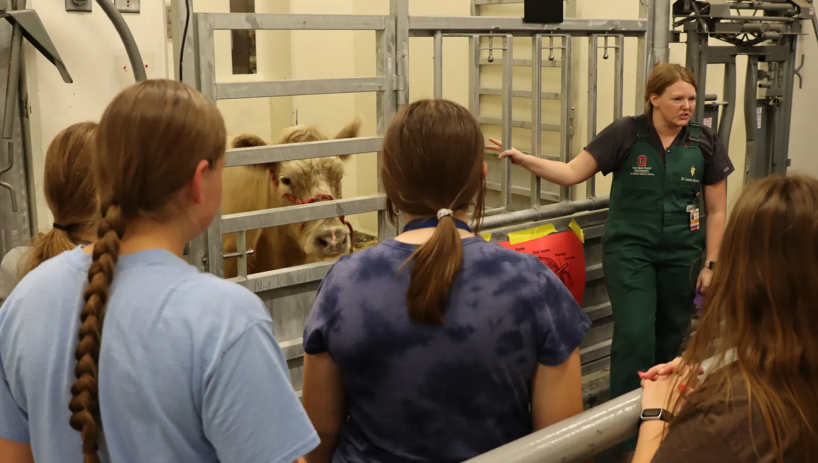 Students gather in the large animal facilities