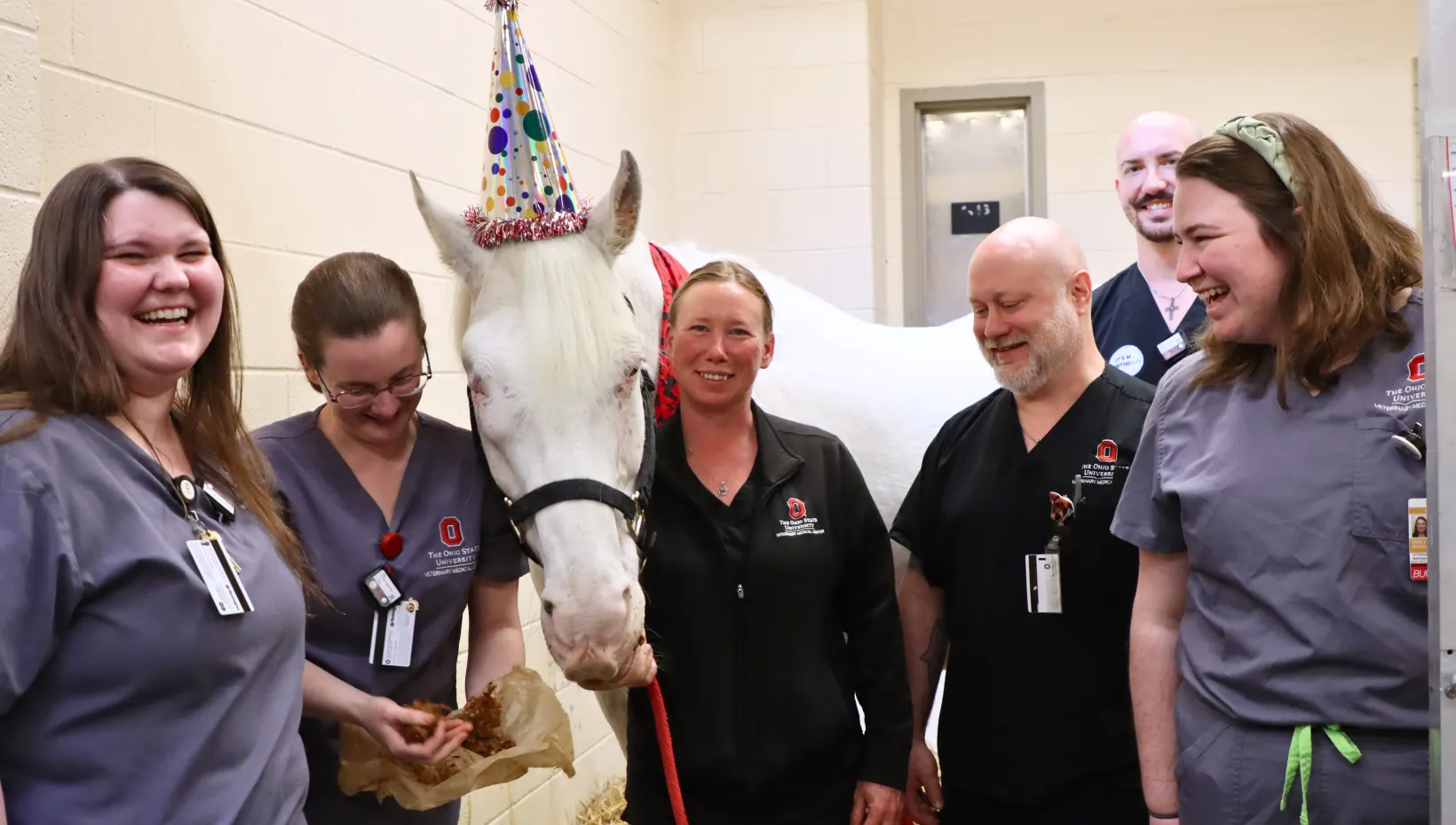 Dan Dee with members of the veterinary radiation oncology team.