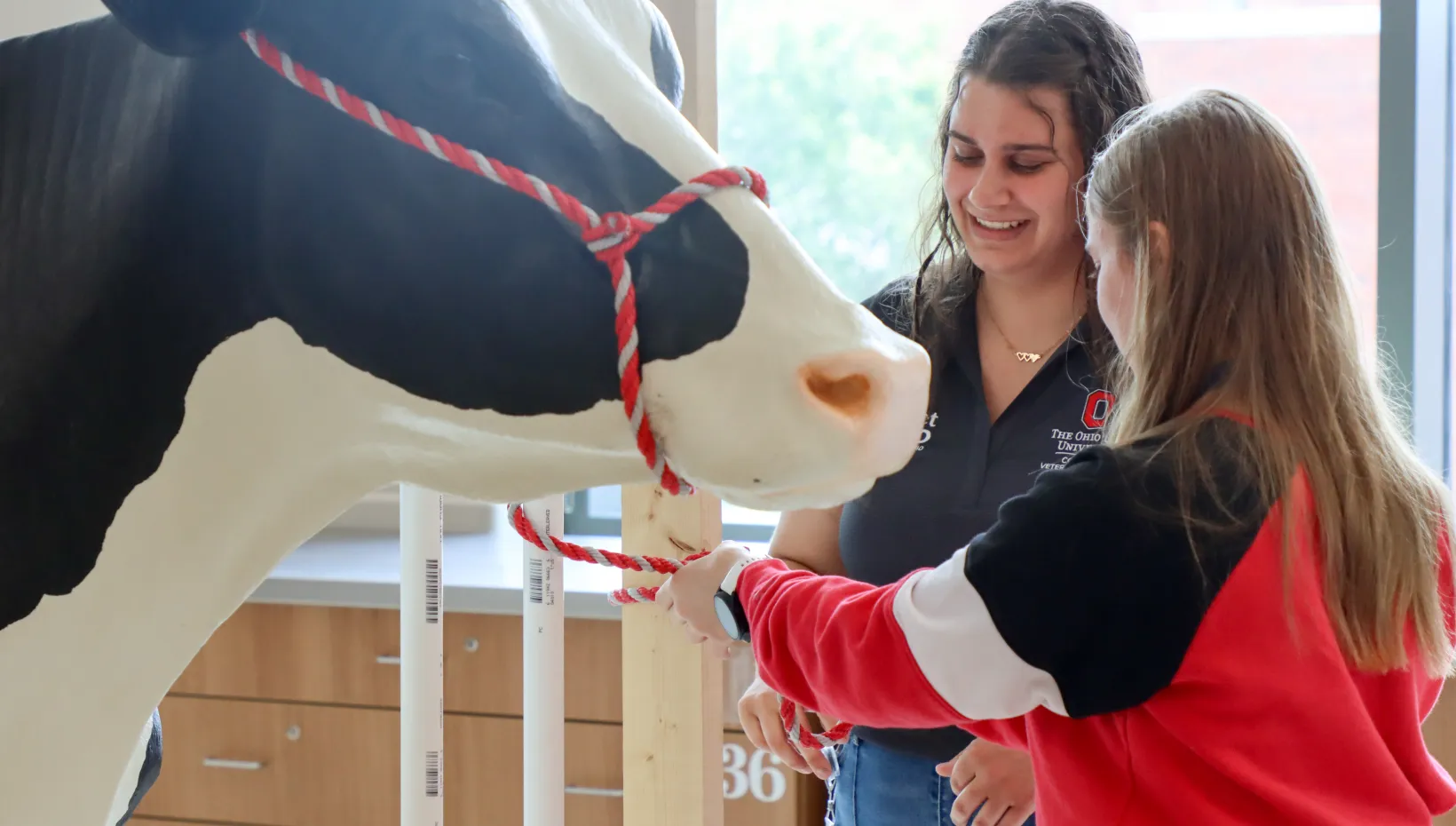Veterinary student instructs high school student how to tie a quick release knot
