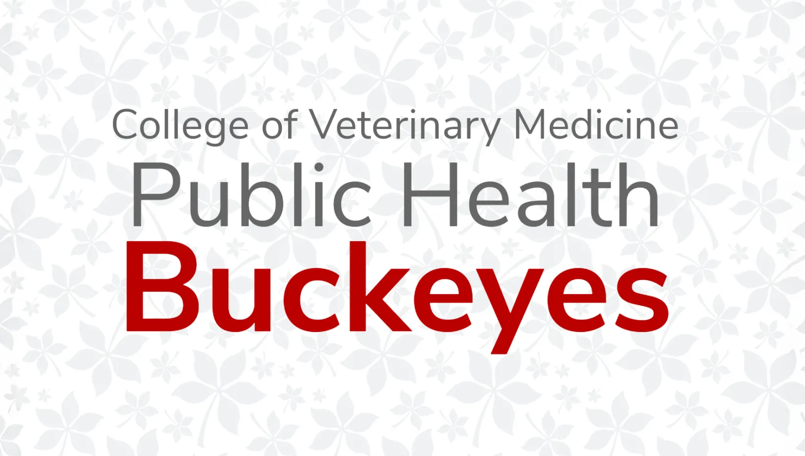 College of Veterinary Medicine Public Health Buckeyes with background of buckeye leaves