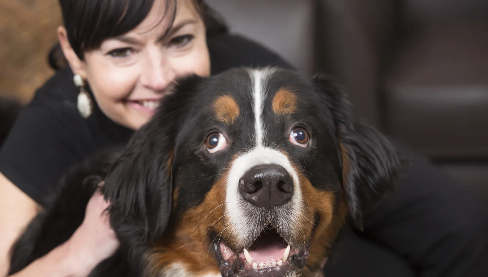 rita wolfe with bernese mountain dog