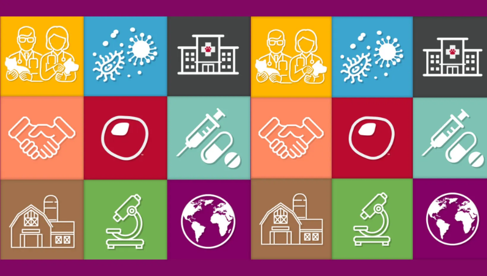 Vector icons of two people holding cat and dog, viruses, animal hospital, two people shaking hands, a buckeye, a syringe, a barn, a microscope and the planet earth. 