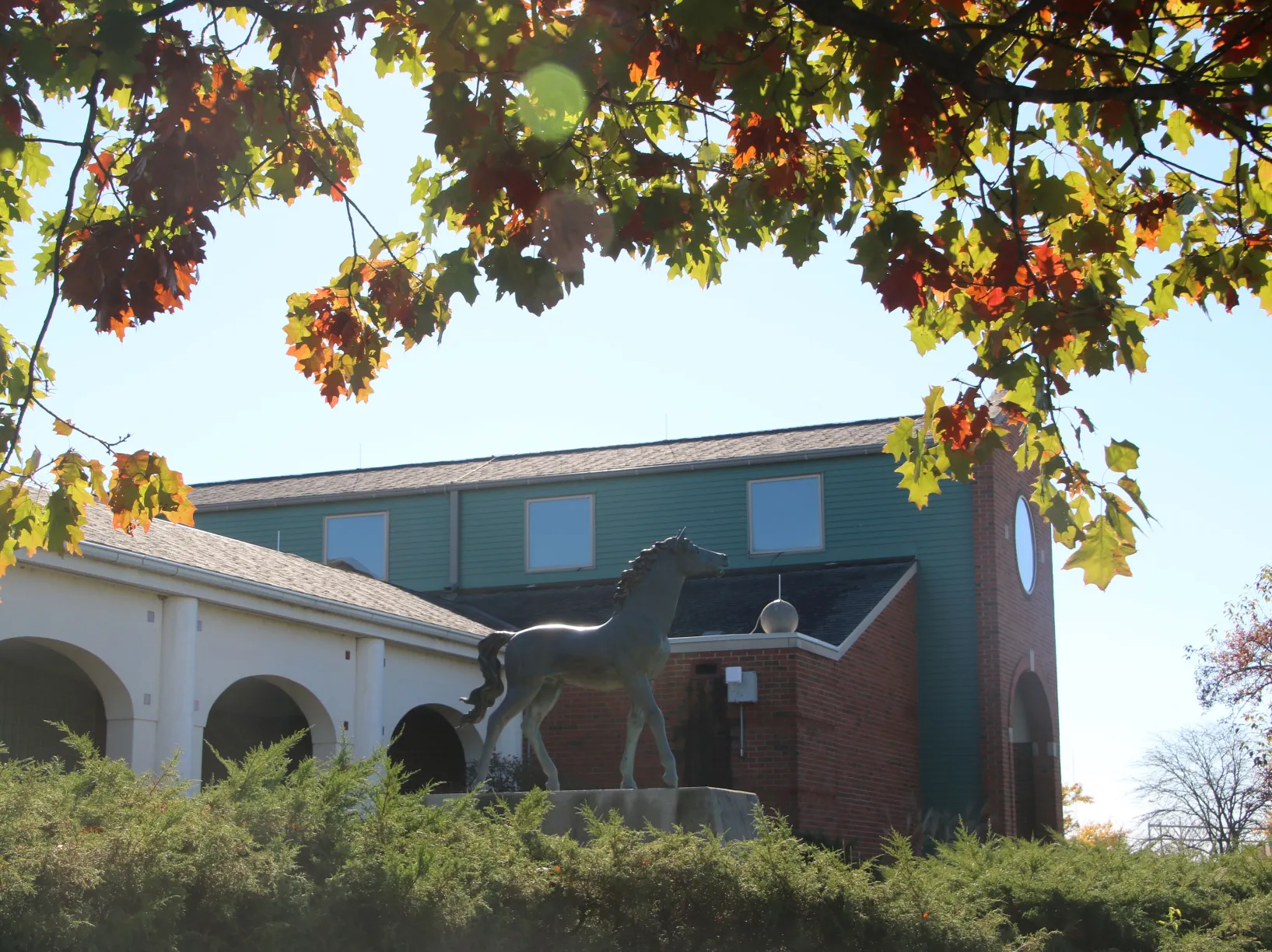 A view of the college through the leaves of a tree