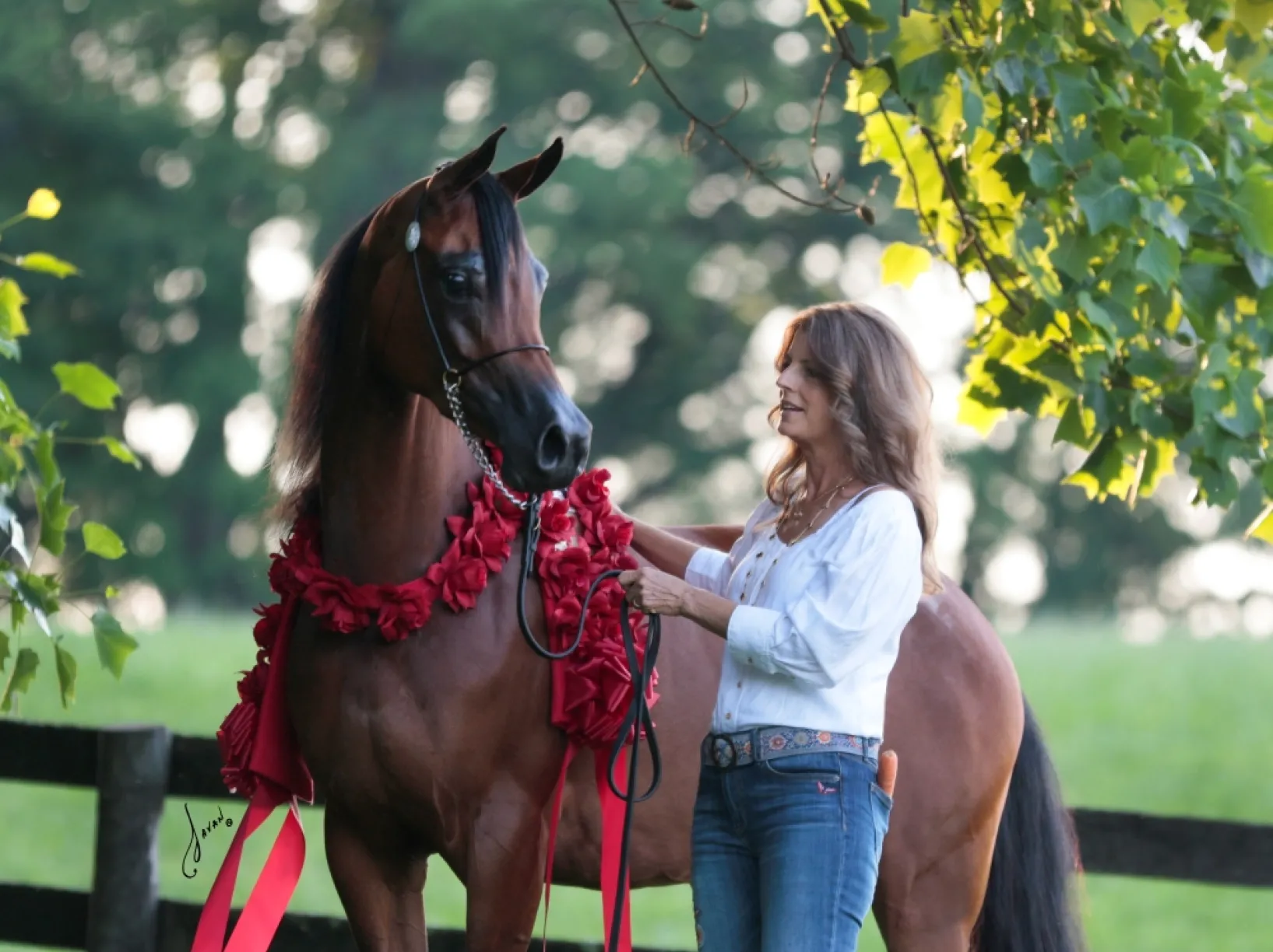 Lisa Gaudio and Mikkella 