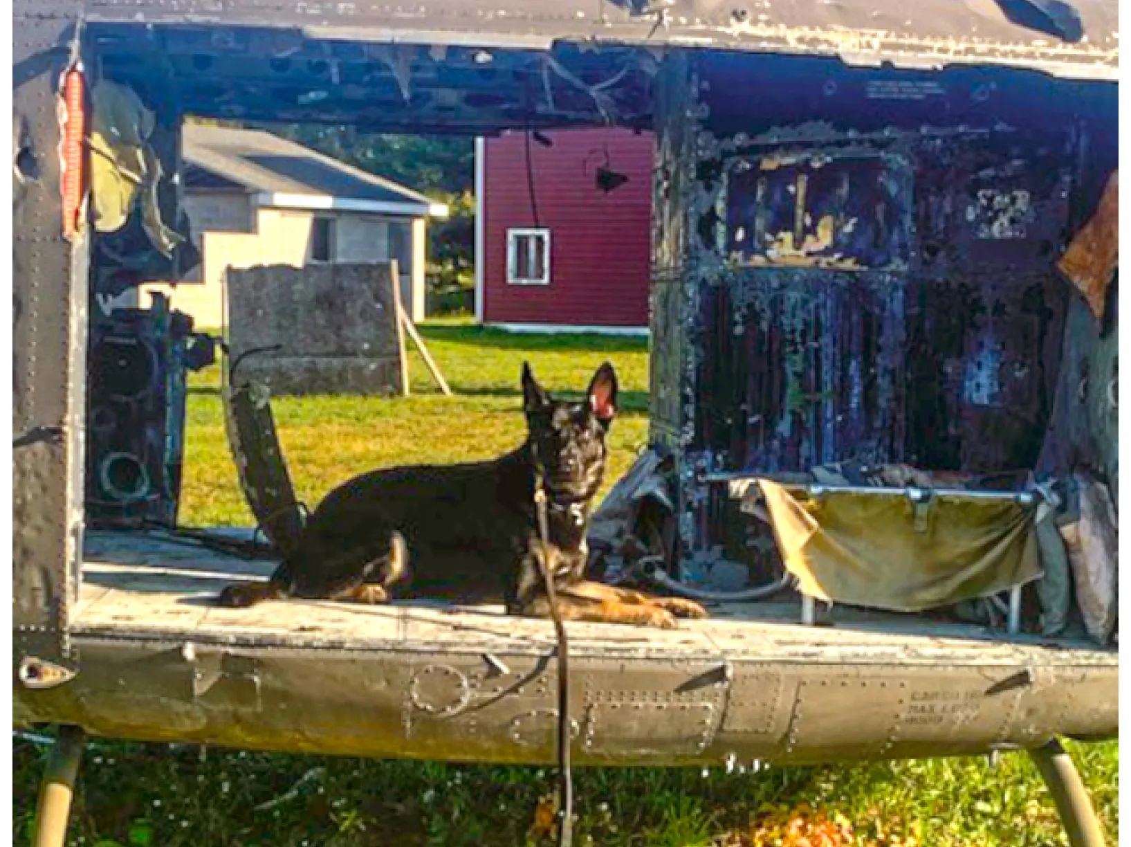 Rambo hard at work during training with the Logan County Police Department. 