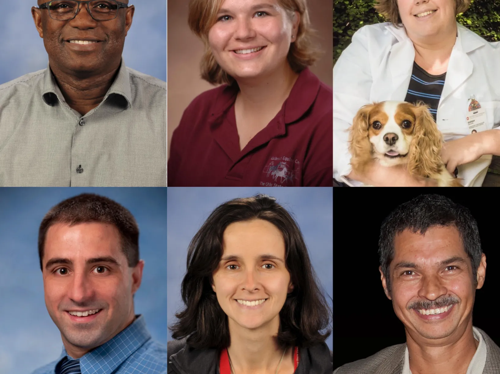 The six faculty named to endowed positions include (pictured left to right, top to bottom ), Drs. Boyaka, Burns, Moore, Niehaus, Selmic and Toribio.