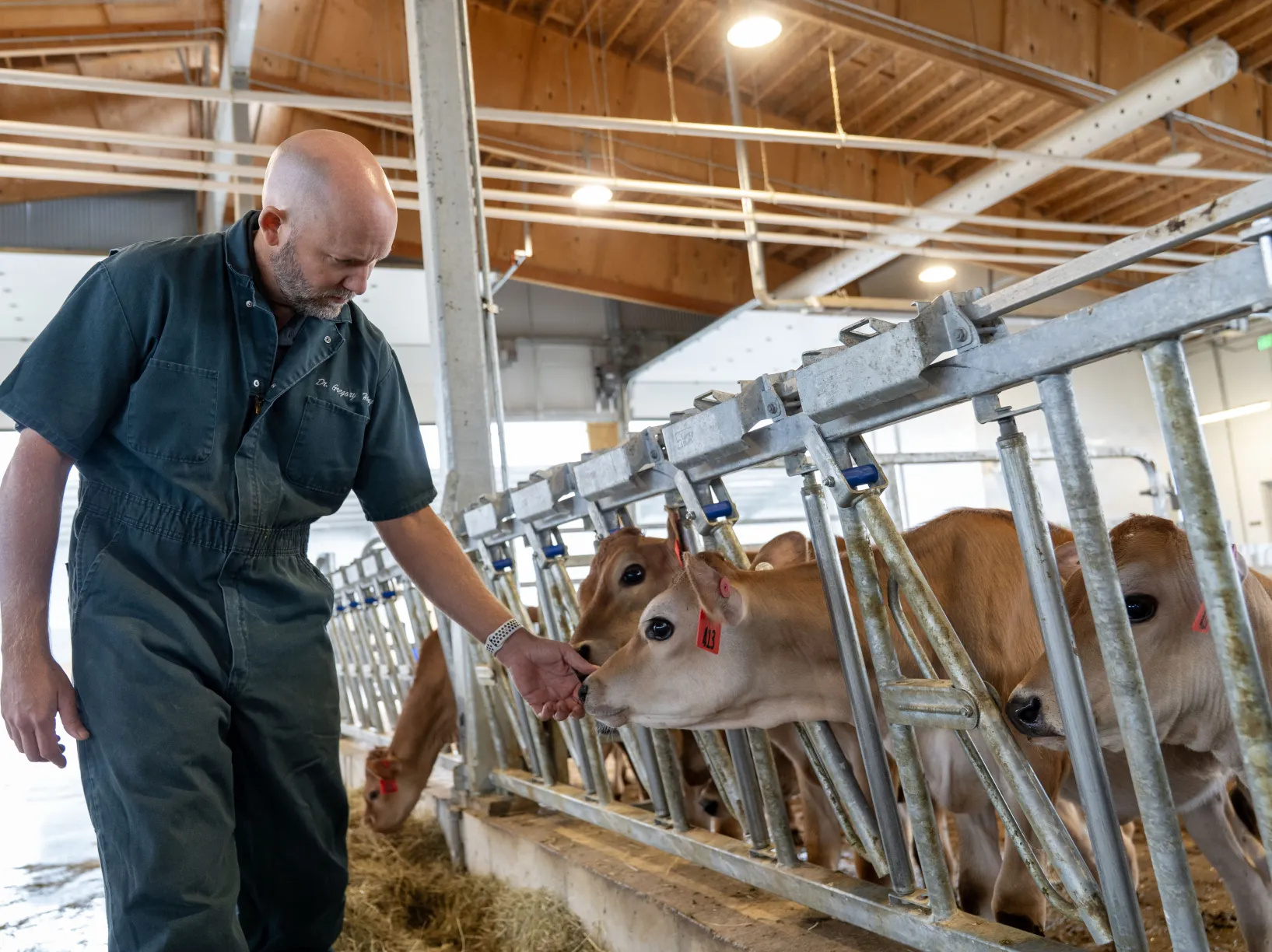 Global One Health Recognition Highlights Dairy Training Program Co-Developed by Ohio State
