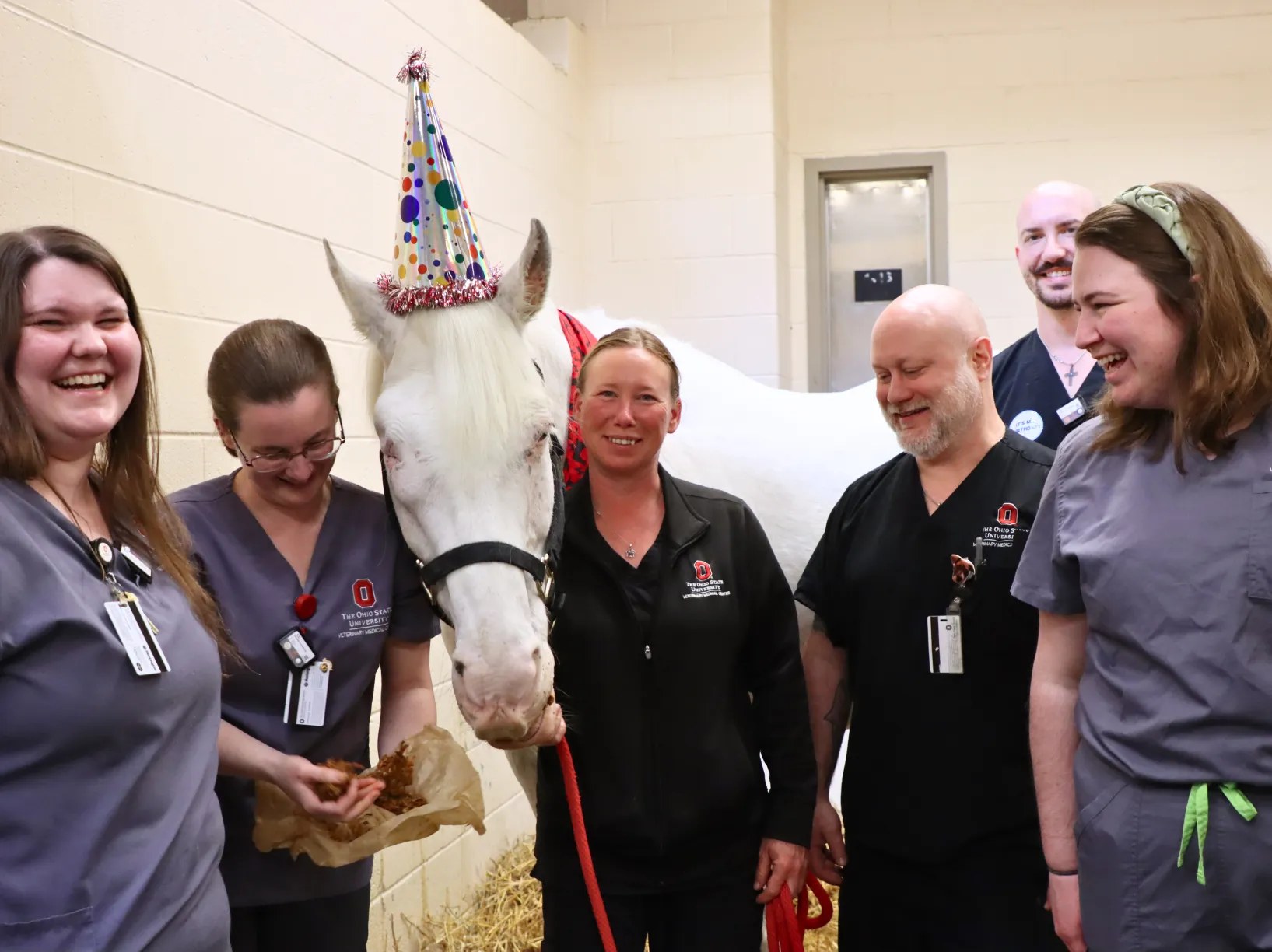 Dan Dee with members of the veterinary radiation oncology team.