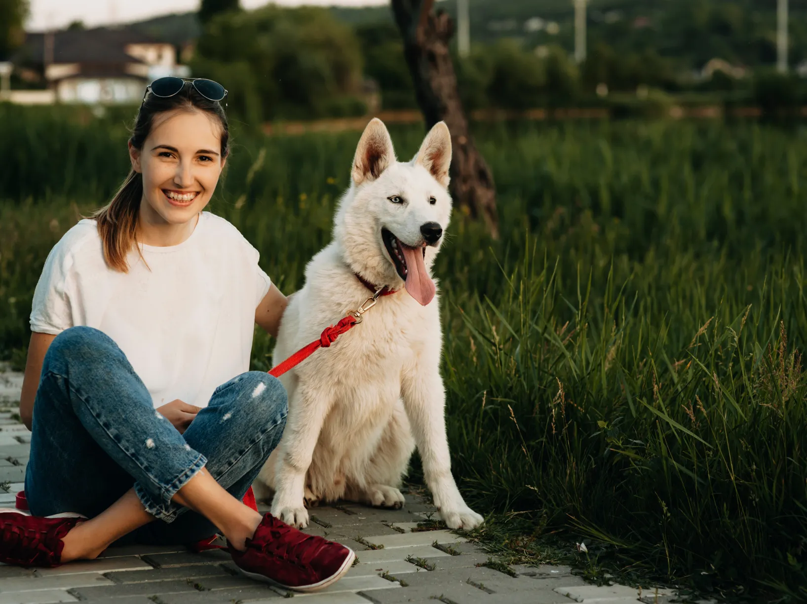 young woman sitting on a sidewalk with white husky