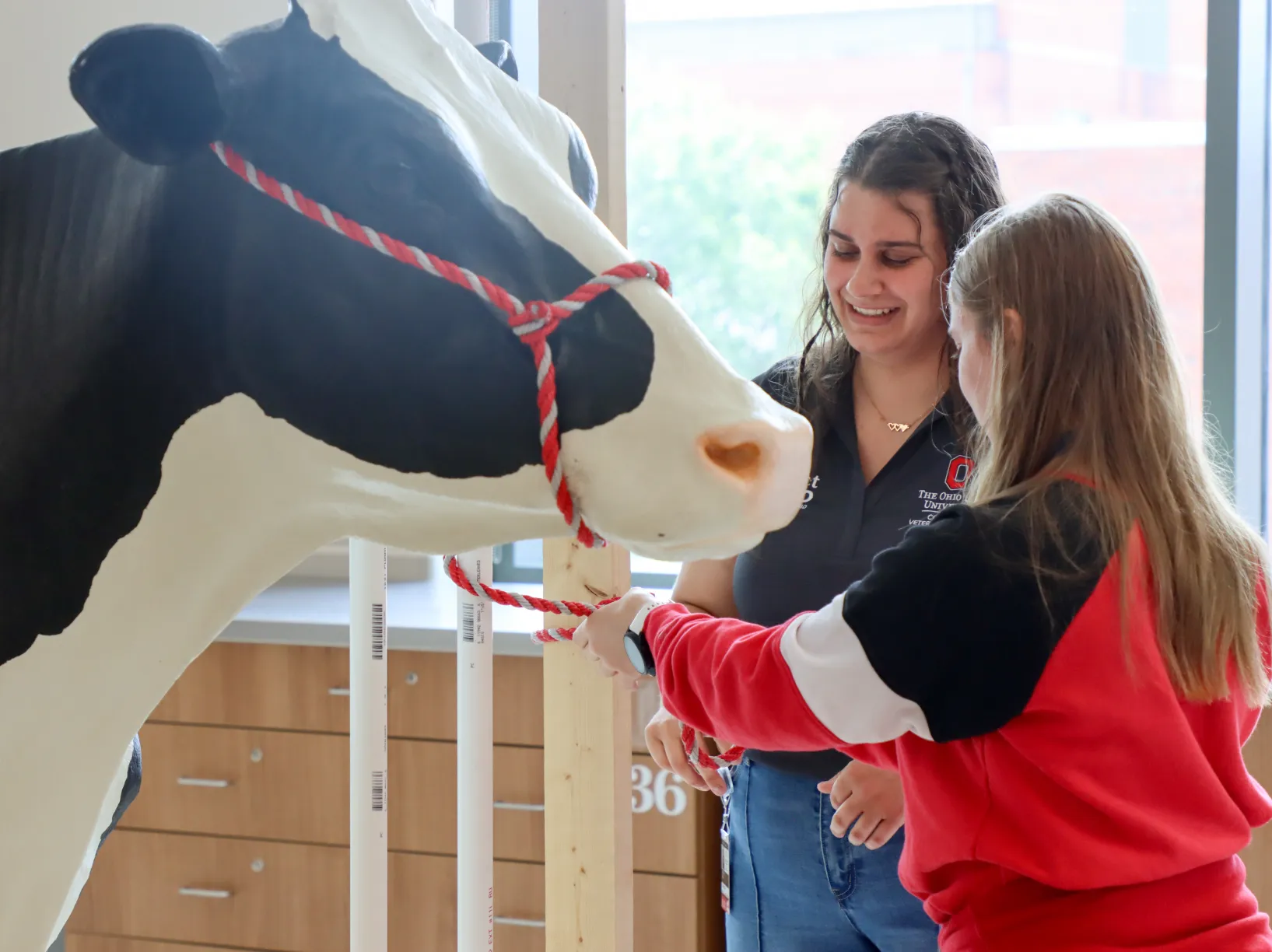 Veterinary student instructs high school student how to tie a quick release knot