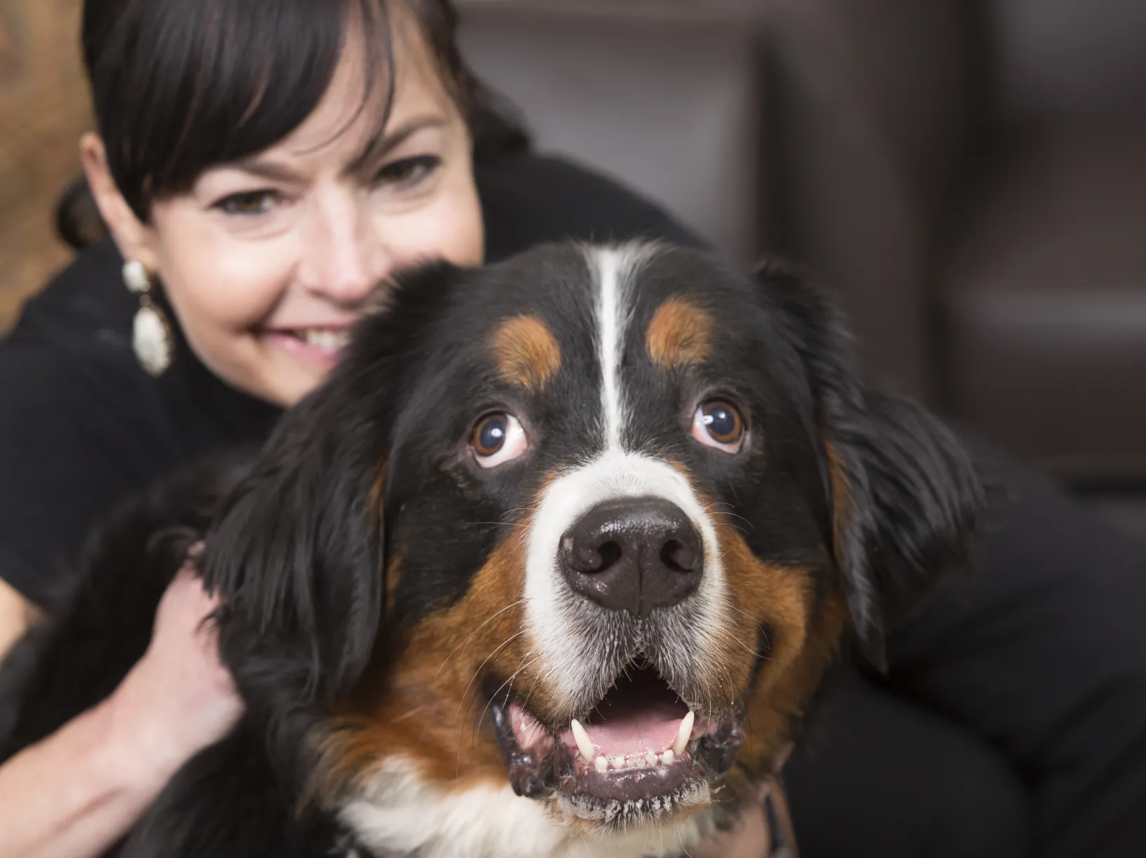 rita wolfe with bernese mountain dog