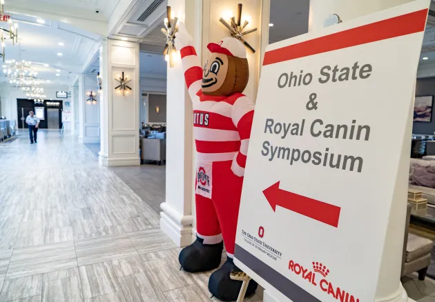sign for the Ohio State & Royal Canin Symposium next to an inflatable Brutus Buckeye