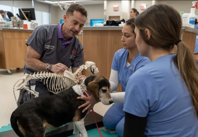neurology faculty dr. ronaldo da costa showing students 