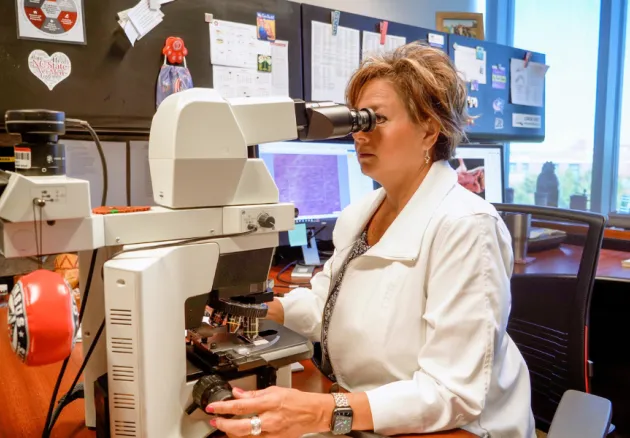 female faculty member at microscope in her office