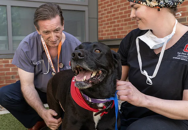 Dr. Jonathan Dyce examining a dog's hip a year after it's total hip replacement surgery