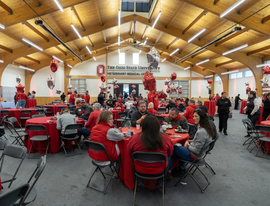 photo of crowd at homecoming