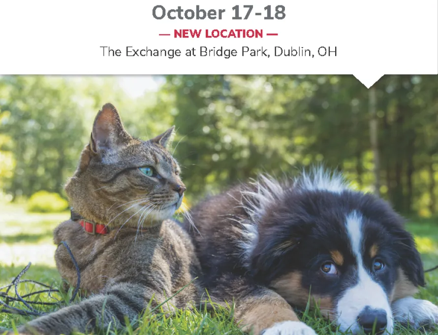 decorative image of cat and dog