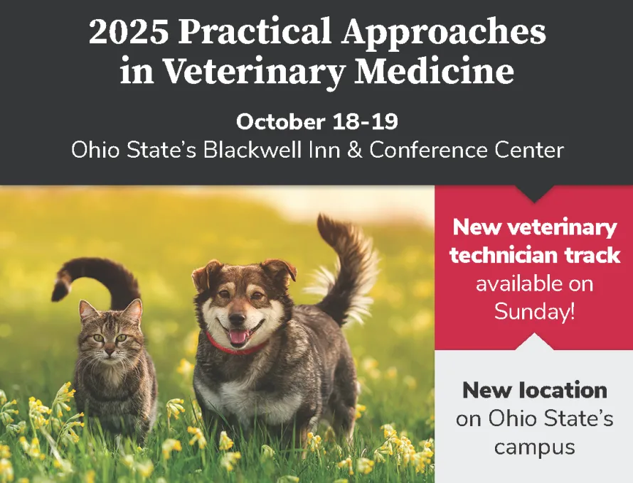 2025 Practical Approaches in Veterinary Medicine