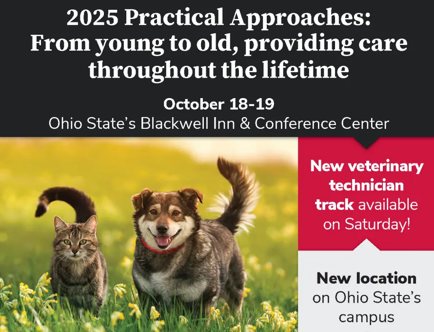 2025 Practical Approaches: From young to old, providing care throughout the lifetime