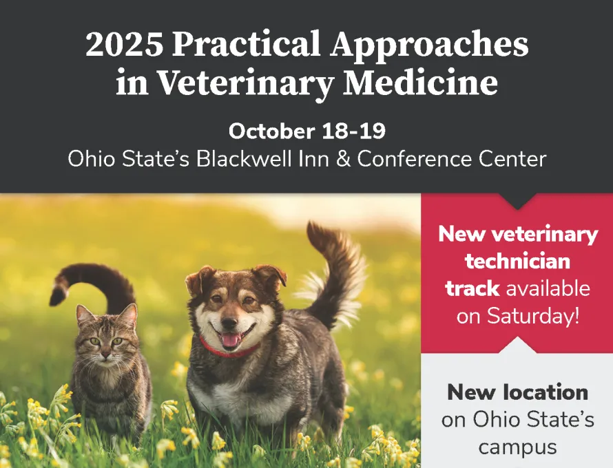 2025 Practical Approaches in Veterinary Medicine