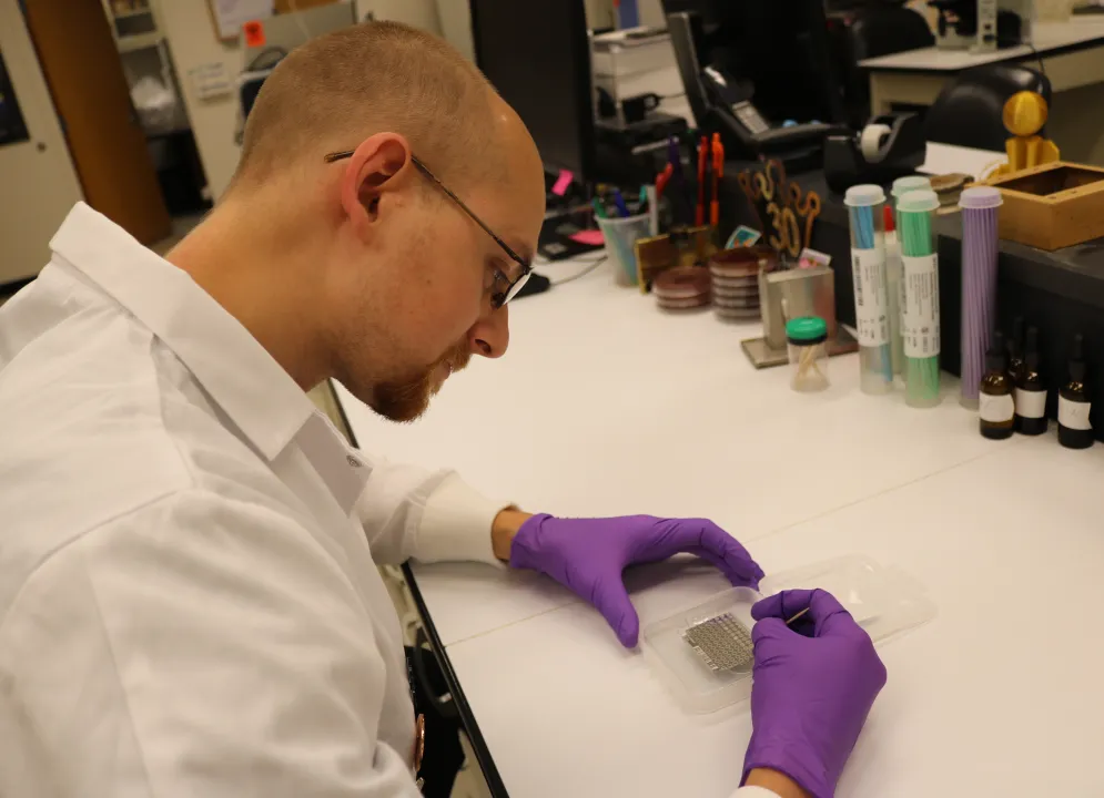 veterinary technician in research lab testing sample