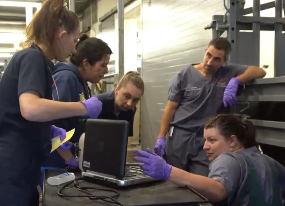 farm animal faculty member with students