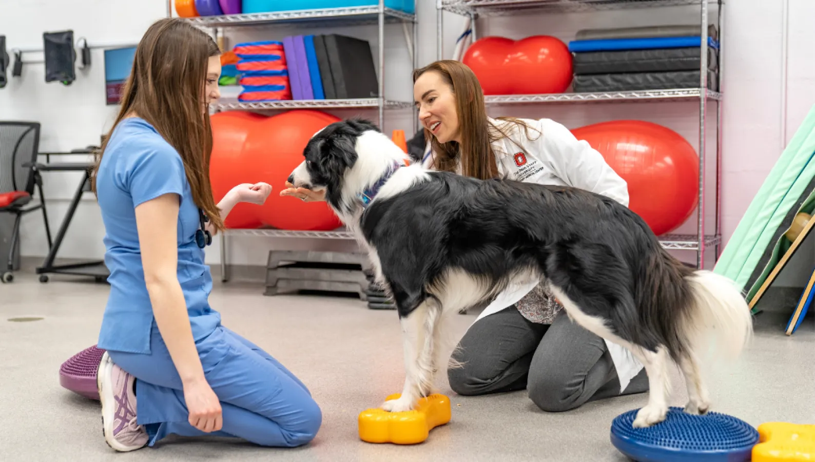 veterinary student with dog standing next to dr.arielle markley in rehab