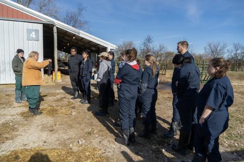 Dr. Margaret Masterson instructs veterinary students during a clinical skills lab at Finley Farm, a 133-acre facility in Madison County that serves as a key site for training students in the management of large animal and livestock cases.